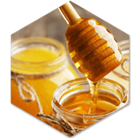 世界の生はちみつ