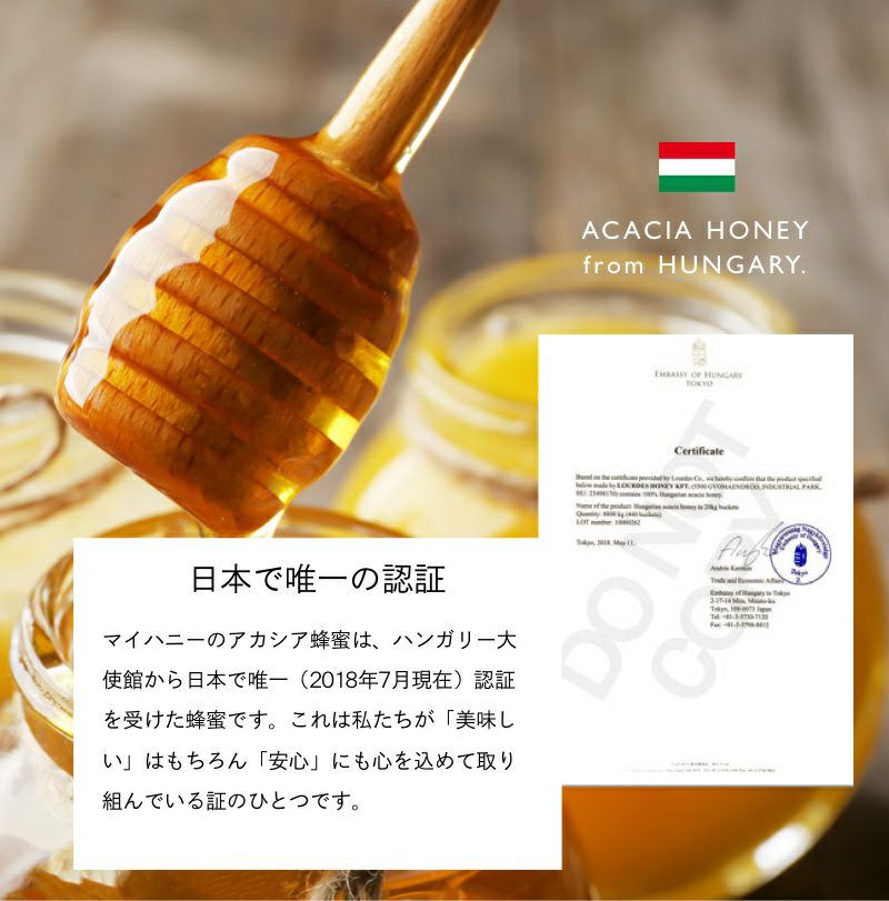 ⭐アカシア蜜１０本　生はちみつ　自家製蜂蜜 アカシアハニー L(200g)/ 箱なし簡易包装・手提げ袋無し【当日出荷可能