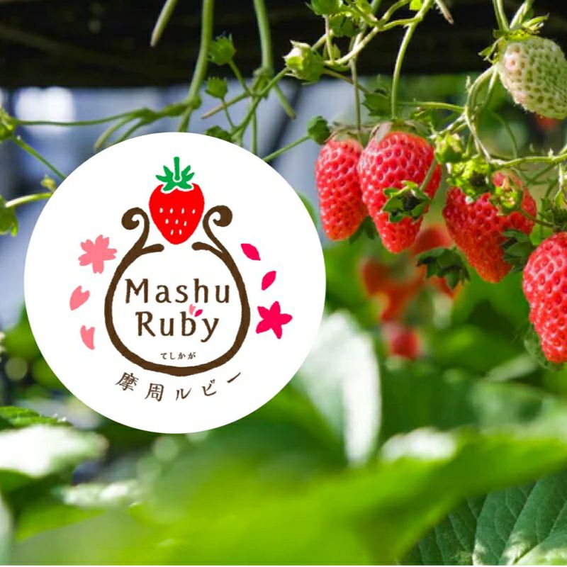 MYHONEY いちごジャム 摩周ルビー 150g 箱なし簡易包装 【当日出荷可能